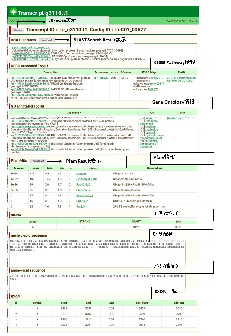 page transcript detail