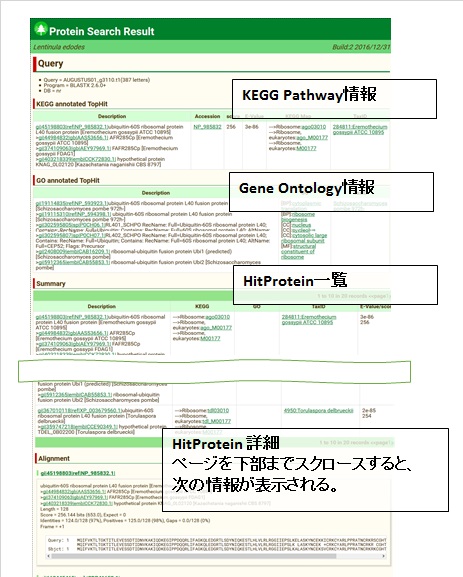 page protein result