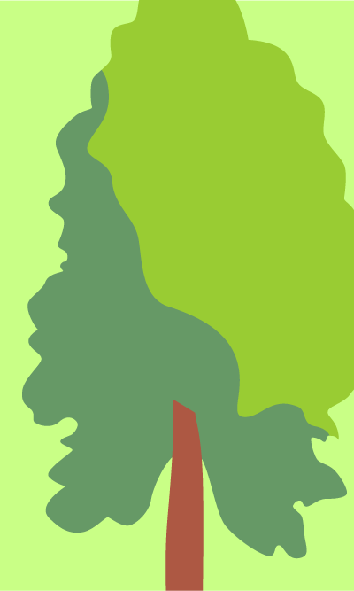 Hinoki