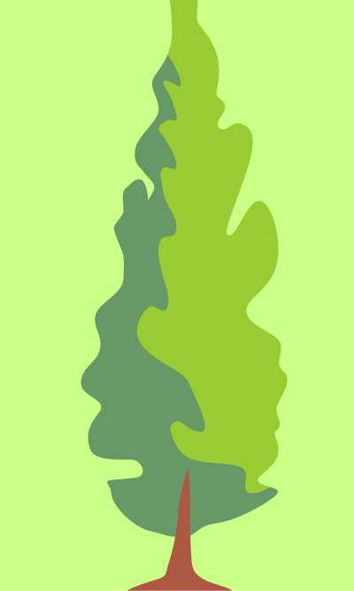 Poplar